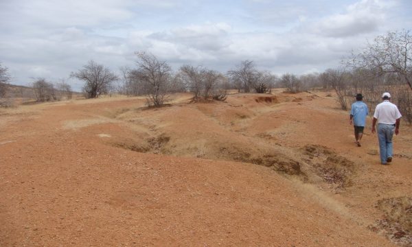 Encontro em Quixadá vai discutir medidas contra o fenômeno da desertificação no Ceará
