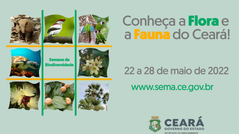 Semana da Biodiversidade convida: “Conheça a Flora e Fauna do Ceará”