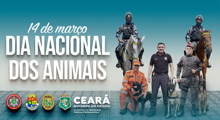 Animais são companheiros fiéis e corajosos dos profissionais da segurança pública