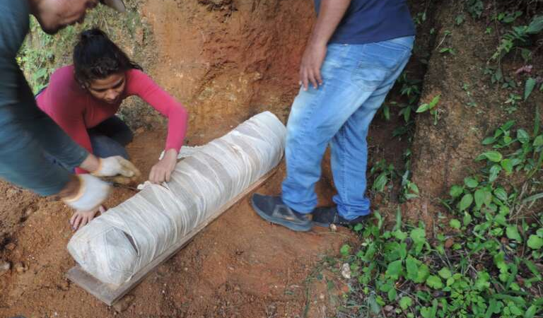 Pesquisadores da área de solos realizam nova coleta de monólito no estado