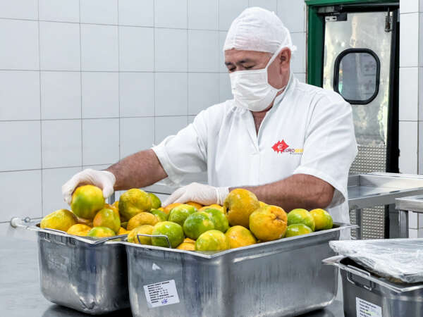 Altas temperaturas: calor pode favorecer disseminação de doenças transmitidas por alimentos