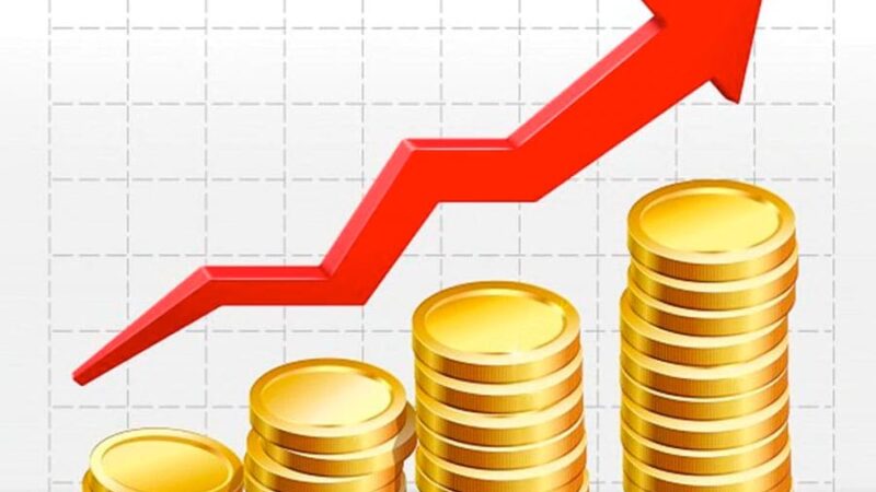 4ª Conferência de Economia Solidária: SET encaminha procedimentos para criação da comissão estadual