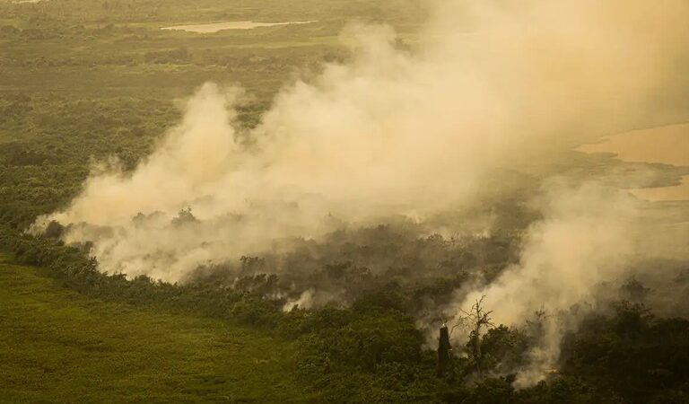 ‘Queima controlada’ para pasto ou cultivos no Pantanal será tratada como crime