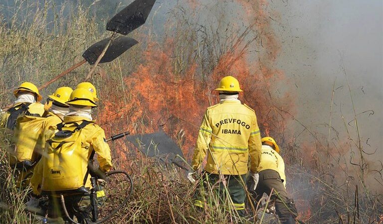 Governo Federal recontrata profissionais para reforçar combate a incêndios