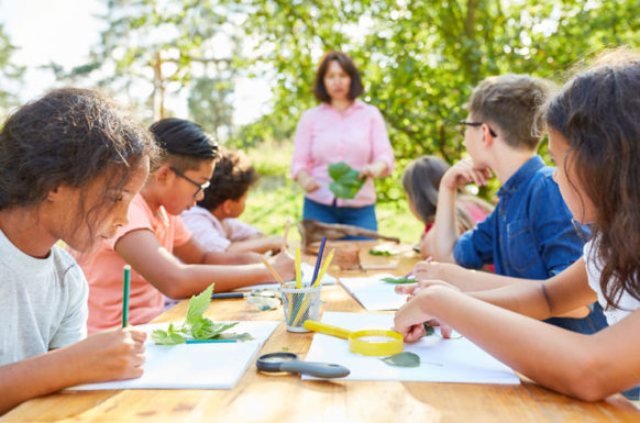 Projeto que inclui educação climática nas escolas é aprovado pela Alece