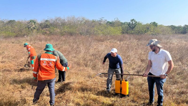 Brigadistas da Sema passam por treinamento para prevenção e combate a incêndios florestais