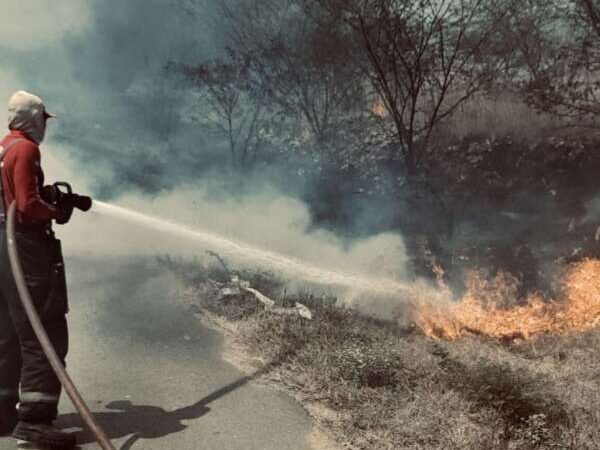 Corpo de Bombeiros debela 2.048 incêndios em vegetações em 2024