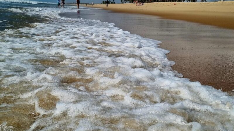 Fortaleza tem 24 trechos próprios para banho de mar neste fim de semana