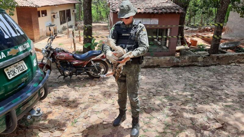 Seriema é resgatada pela PMCE e encaminhada para ONG parceira no Crato