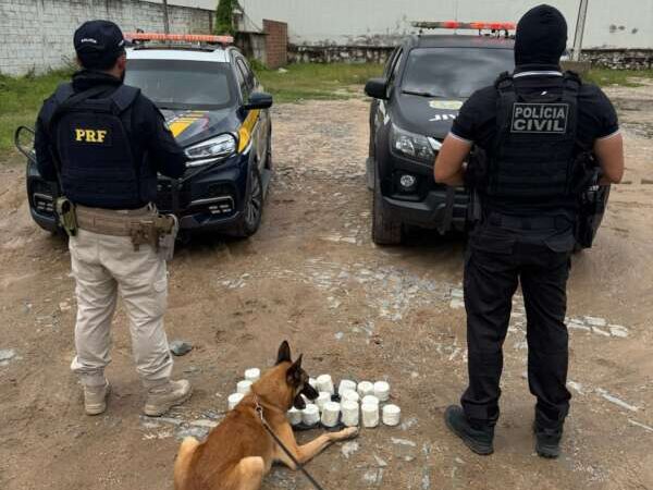 Ação integrada da PCCE e PRF resulta na apreensão de mais de 8 kg de cocaína em Várzea Alegre