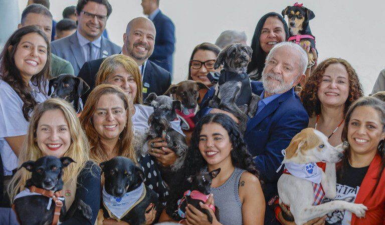 ProPatinhas e SinPatinhas são marcos na garantia do bem-estar de animais domésticos