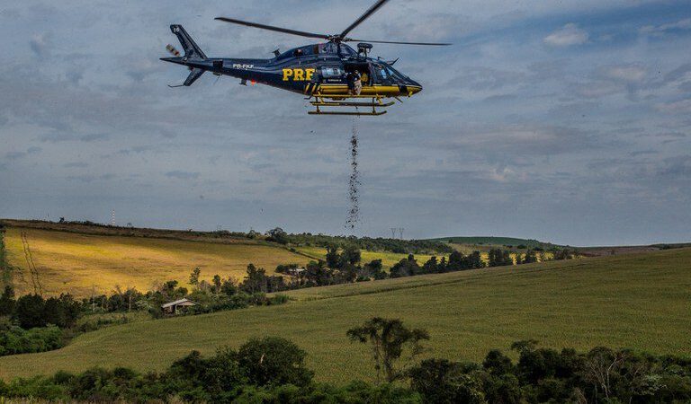 Helicóptero da PRF lança 10 toneladas de sementes para reflorestar Mata Atlântica no PR