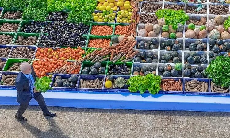 Governo Federal investe R$ 89 bilhões na agricultura familiar