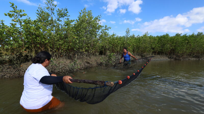 Marisqueiras cearenses estampam a nova edição da revista Plenário Alece