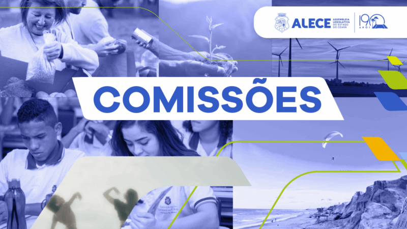 Comissões Técnicas apresentam relatórios de atividades do semestre
