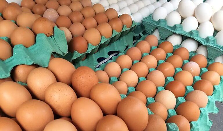 Com preços de alimentos em queda, inflação fica em 0,24% em junho