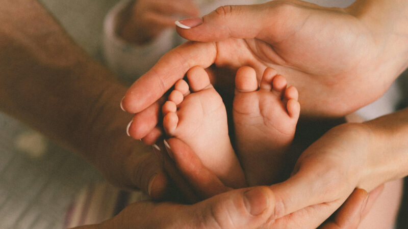 Pais atípicos do Ceará recebem homenagem na Alece nesta segunda-feira