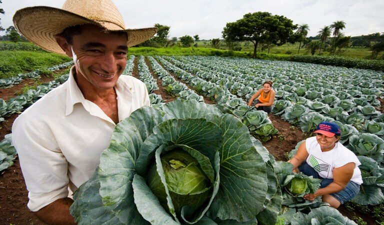 Alece debate situação do Programa Nacional de Crédito Fundiário no Ceará