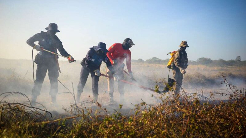Aesp/CE promove Curso Básico de Prevenção e Combate a Incêndio Florestal