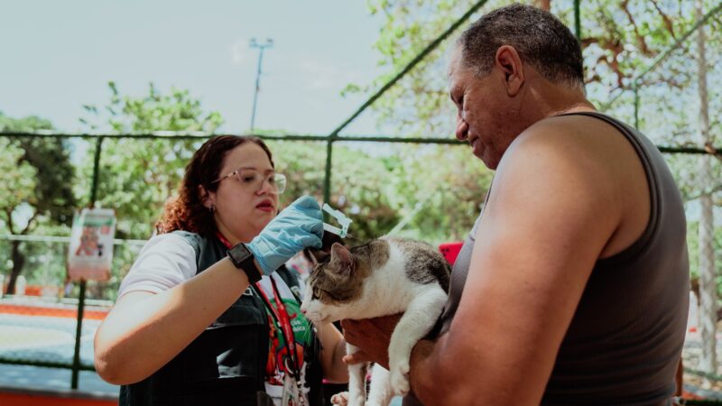 Dia D de Vacinação Antirrábica mobiliza 120 pontos de vacinação em Fortaleza