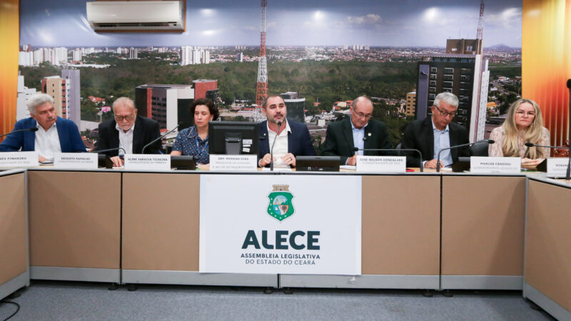 Audiência na Alece debate políticas públicas e desafios de extrativistas e produtores da carnaúba