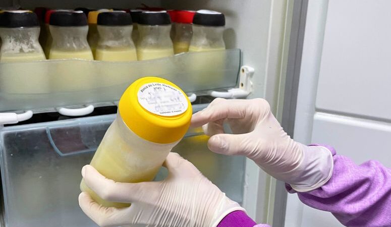 Rede Sesa recebe doação de leite humano em bancos e postos de coleta em todo no Ceará