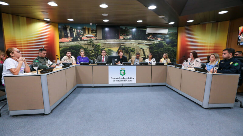 Avanços e desafios na política para pessoas desaparecidas são apontados em audiência