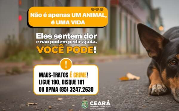Disque-Denúncia 181 registra aumento de 65,1% nas denúncias de maus-tratos de animais
