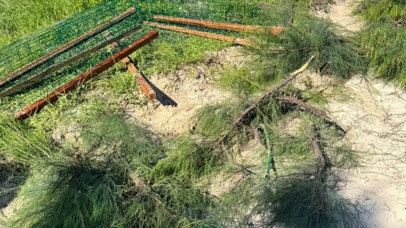 Ação conjunta resulta na prisão de homem por crime ambiental na orla de Beberibe