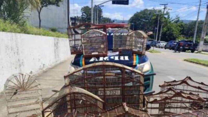 Polícia Militar resgata 16 aves silvestres mantidas irregularmente em cativeiro no Crato