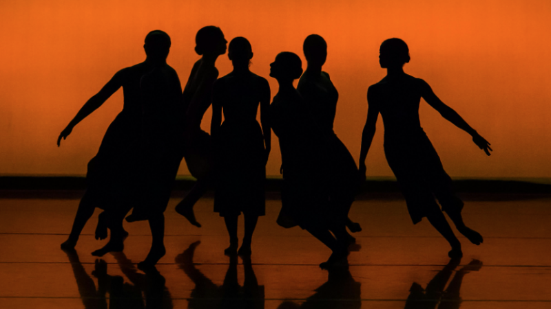 Dia Internacional da Dança é celebrado em sessão solene na Alece