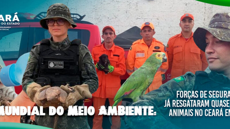 Dia Mundial do Meio Ambiente: Forças de Segurança já resgataram quase seis mil animais no Ceará em 2026