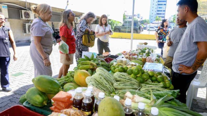 Feira na Alece fortalece pequenos produtores e consumo de alimentos orgânicos