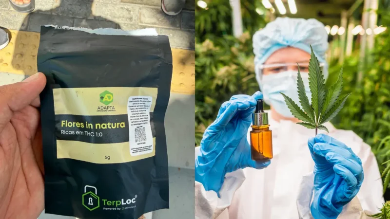 Lotes de cannabis medicinal são apreendidos e viram alvo de inquérito de tráfico de drogas no Ceará