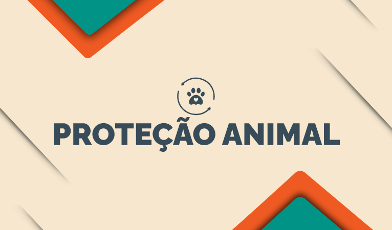 VetMóveis não funcionarão neste sábado (15/8) devido ao feriado de Nossa Senhora de Assunção
