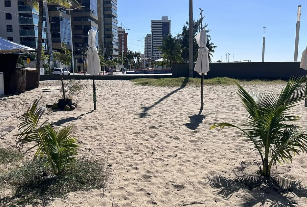 UrbFor transplanta mudas plantadas irregularmente na Beira-Mar para garantir desenvolvimento adequado das espécies